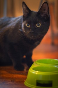 IMG_1929