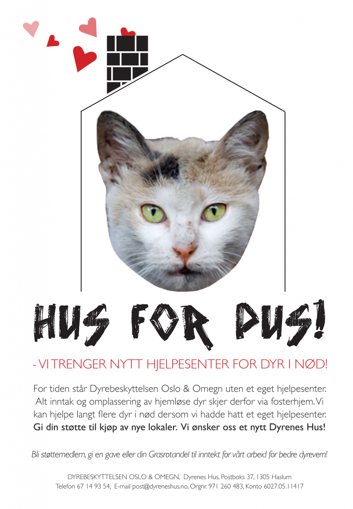 flyers-hus-for-pus2
