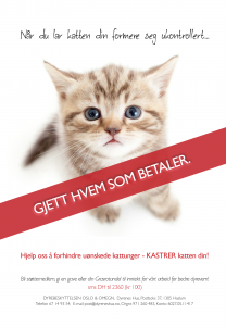 flyers_kastrering (1)