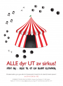flyers-sirkusdyr (1)