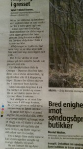 Rådyrigresset2