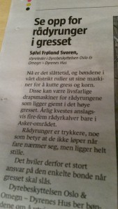 RådyrungerBudstika1