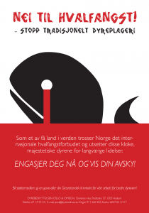 flyers-hvalfangst (1)