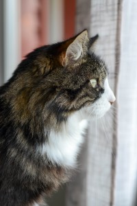 DSC_8637