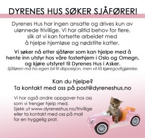Sjåfør (1)