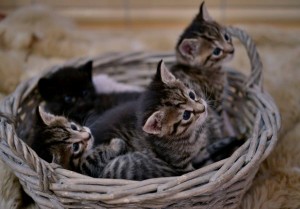 Forside Foto Franciska Munck-Johansen