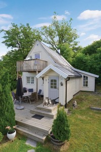 Dyrenes Hus med katter