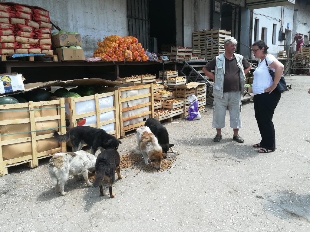 Du ser eveggen av et lagerbygg. Langs rampen er det stablet sekker, banankasser og nettingsekker med en slags frukt. Det er mange trekasser stablet oppå hverandre. En mann med brun t-skjorte. Beige lang vest med mange lommer og beige lang shorts står til høyre i bildet. Han har hendene på hoftene og har satt brillene sine opp i det grå håret. Han er omtrent 55 år og står og snakker med en kvinne til høyre for seg. Hun har hvit t-skjorte, sorte langbukser og sandaler og har også hendene på hoftene. Hun har briller og har bundet opp håret i en liten knute i nakken. Foran til venstre i bildet er det fem hunder som spiser tørrfor som ligger på bakken. Hundene er ustelte og skitne i pelsen. Rett bak de er det 3 store bakker med hele vannmeloner og bak de to som snakker er det trekurver med poteter. Foran poteten står en åpnet og halvtom sekk med Monami hundemat.
