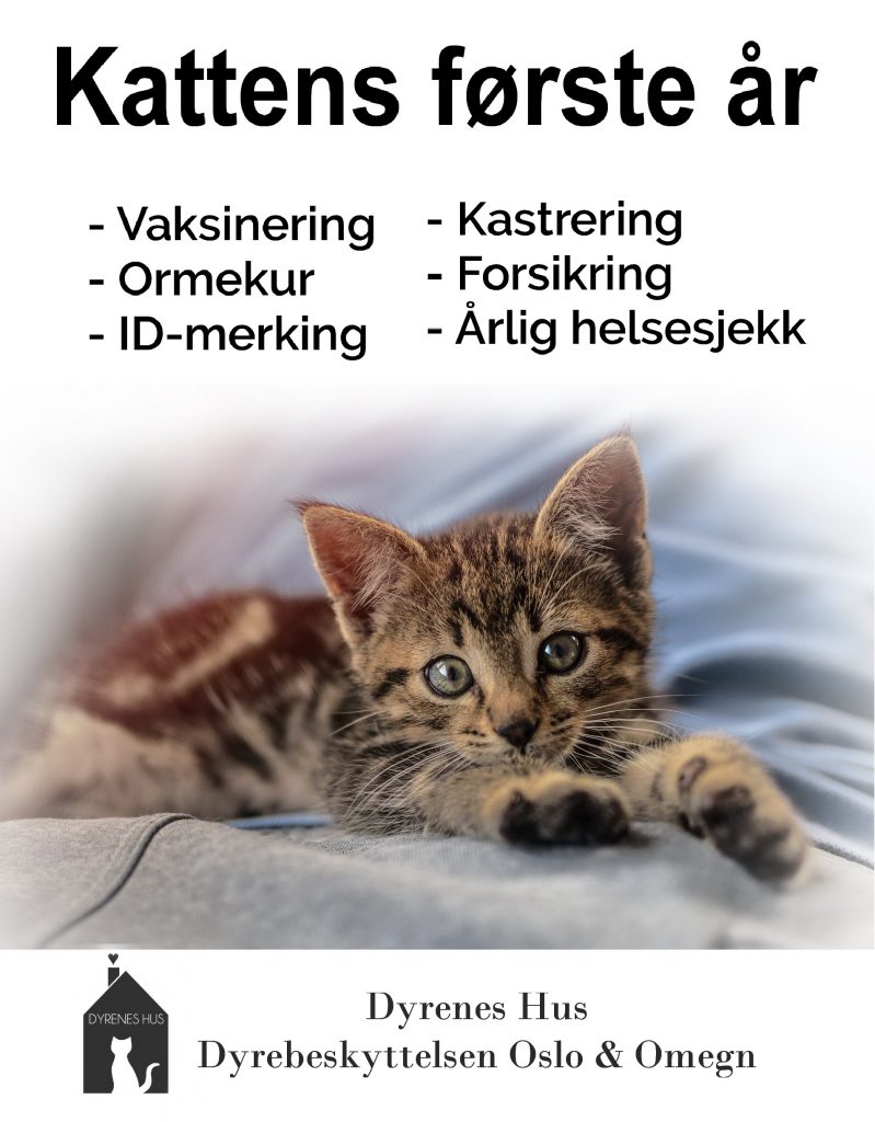 Flyer med huskeliste om hva som må gjøres første året.