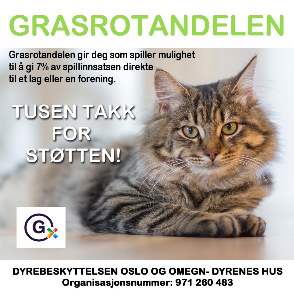 Dette bildet mangler alt-tekst; dets filnavn er grasrot-1019x1024.jpg