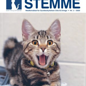Dyrenes stemme magasin 2020