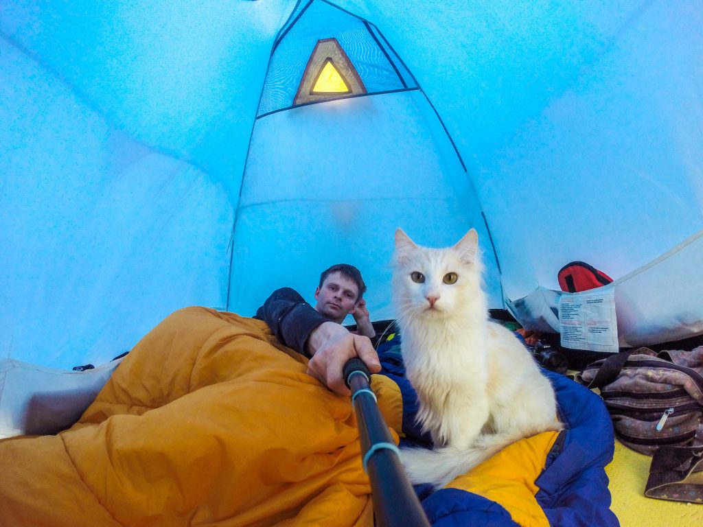 KAtt på teltur med eier. De ligger inne i et blått telt og han tar bilde med et kamera på en selfiestick. Eier ligger i oransjesovepose og lener hode motvenstre hånd, den hvite vakre katten ser rett inn i kameraet.